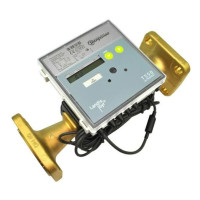 Теплолічильник Ultraheat Т550 60,0 м³/ч DN100