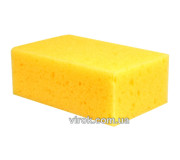 Губки